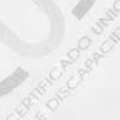 article-image
